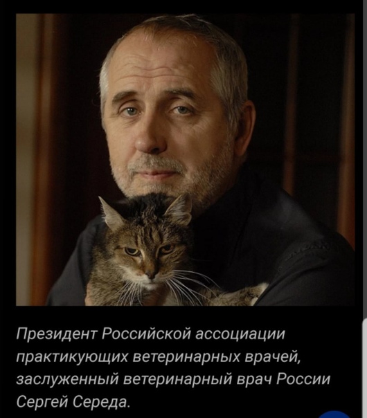 середа сергей владимирович врач ветеринар. середа илья владимирович. середа сергей владимирович. середа сергей владимирович врач ветеринар. середа илья владимирович.