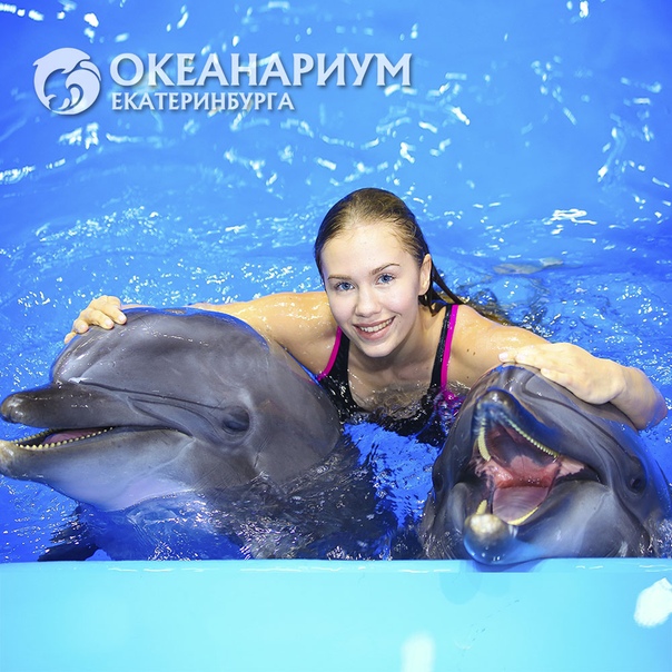 Фото с дельфином екатеринбург Океанариум Екатеринбурга