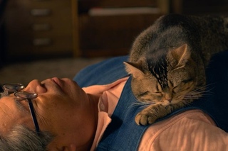 девять жизней 2016. трейлер про кота. трейлер про кота. Stray игра. коты эрмитажа (2022).