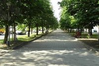 минеральные воды парк. улицы мин вод. карда маркса минводы аллея. администрация города минеральные воды. улицы мин вод.