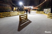 каток у планетария 1 спб. каток на обводном канале спб. каток планетарий 1 спб. каток у планетария № 1. каток у планетария № 1.