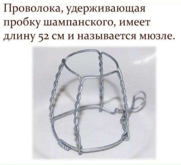 пробка от шампанского с проволокой. какая длина мюзле. какая длина мюзле. проволока для пробки шампанского название. металлическая проволока от шампанского.